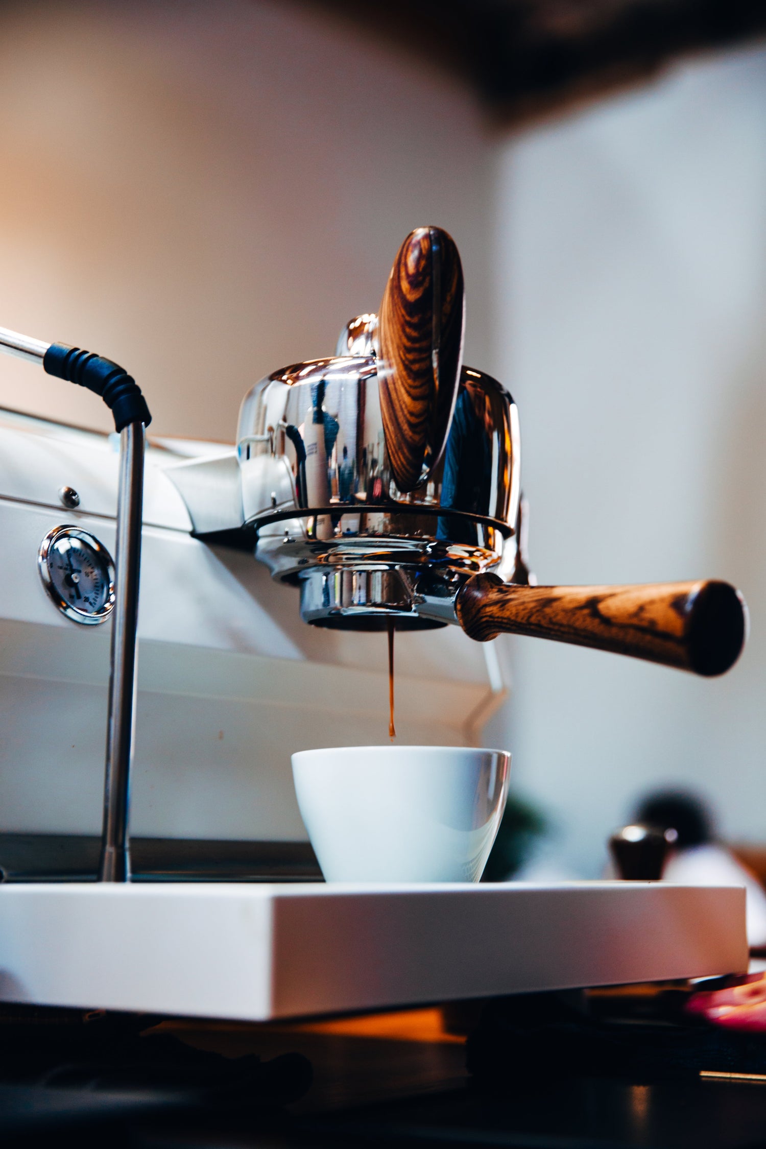 🌱Lupinenkaffee – Genuss ohne Koffein