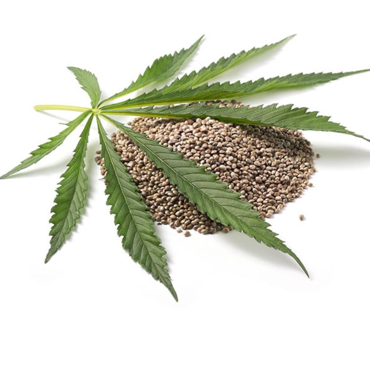 Hanfsamenöl