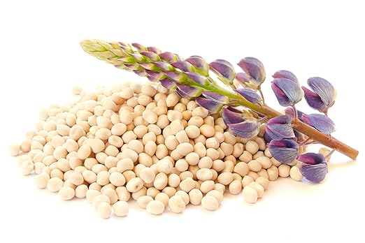 🌱 Lupinenprodukte – natürlicher Genuss & vielseitige Power