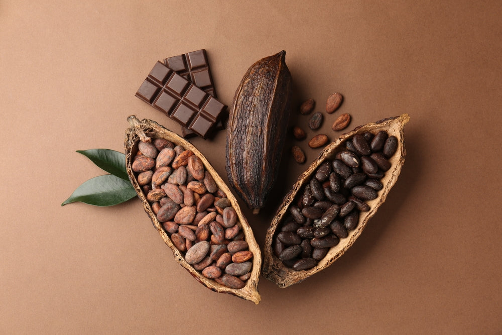 🍫Kakaobohnen – Ursprung des Schokoladengenusses