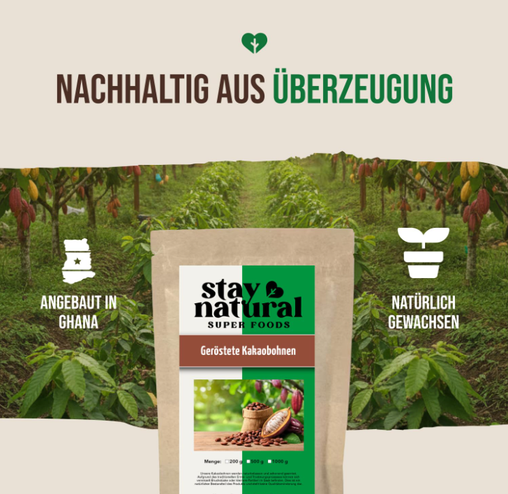Kakaobohnen geröstet
