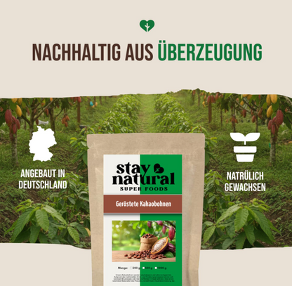 Schokoladige Entdeckungsreise für Kakao-Liebhaber